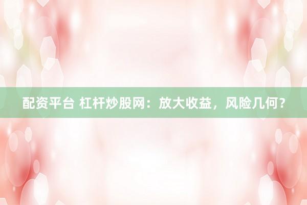 配资平台 杠杆炒股网：放大收益，风险几何？