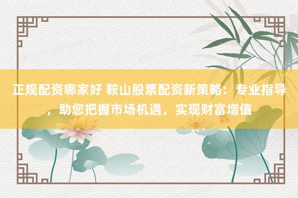 正规配资哪家好 鞍山股票配资新策略：专业指导，助您把握市场机遇，实现财富增值