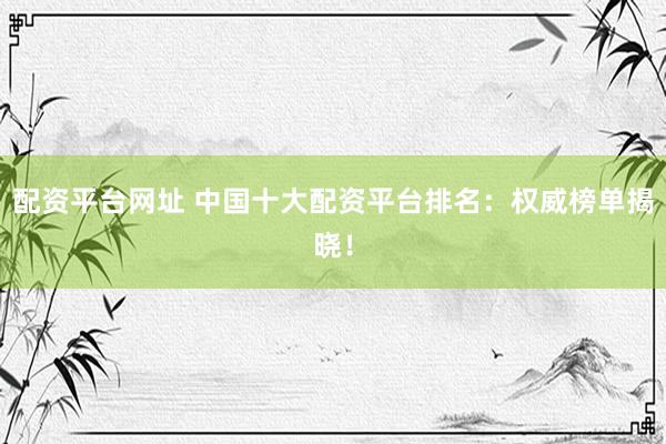 配资平台网址 中国十大配资平台排名：权威榜单揭晓！