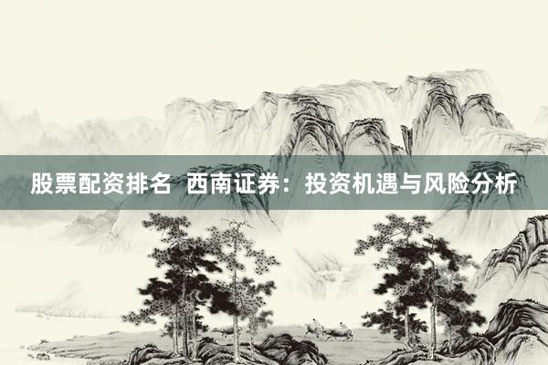 股票配资排名  西南证券：投资机遇与风险分析